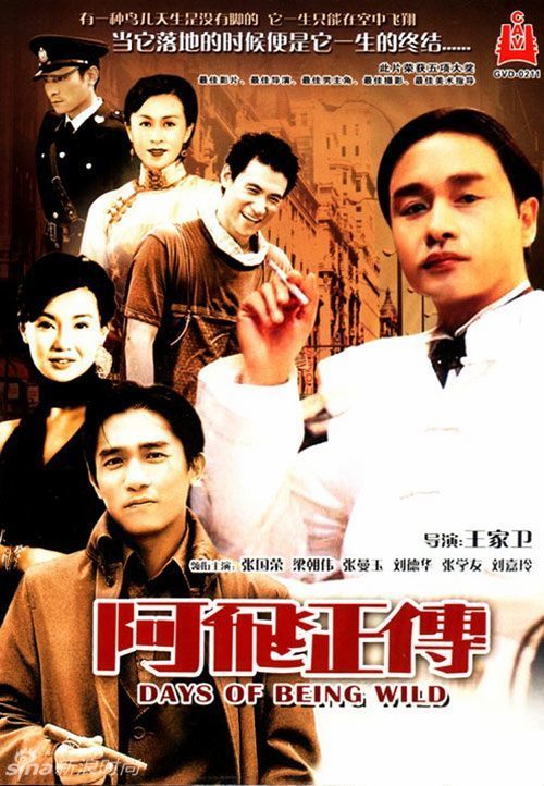 买个假西北地区